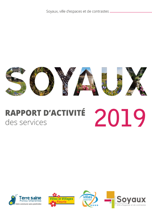 Rapport_d'activité_2019-1